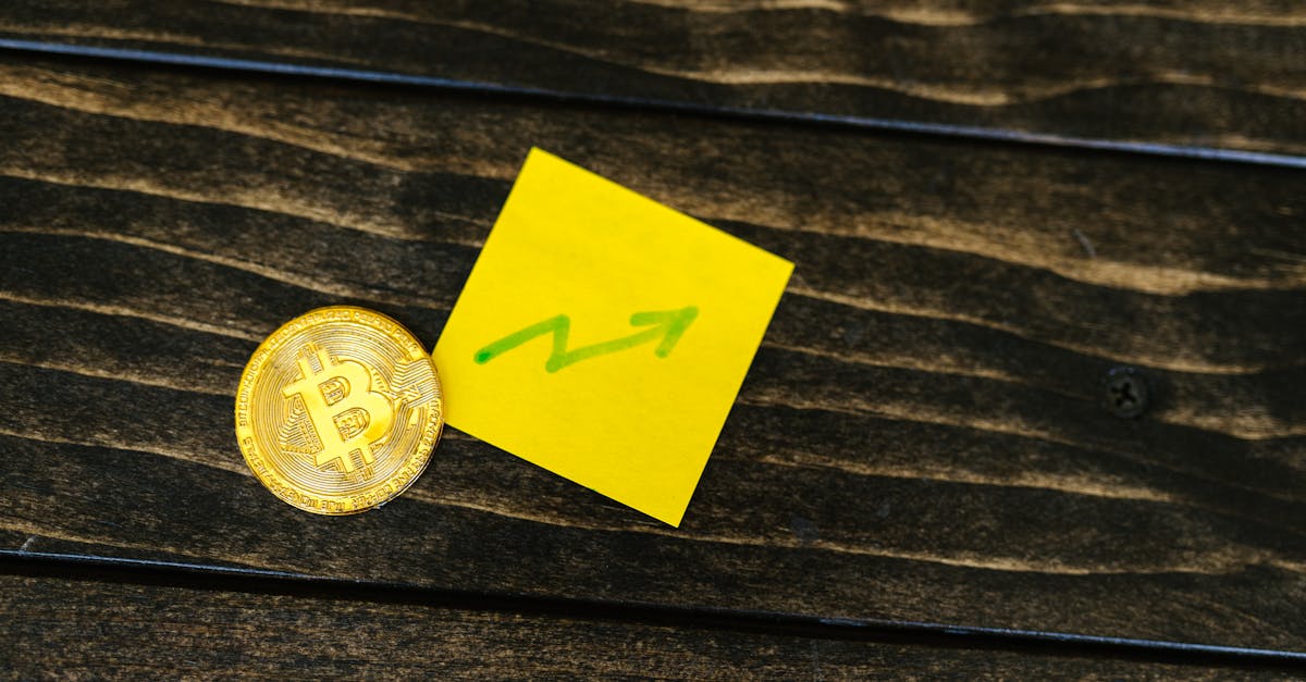 Bitcoin vs SpaceX : Où va l'argent des investisseurs ?