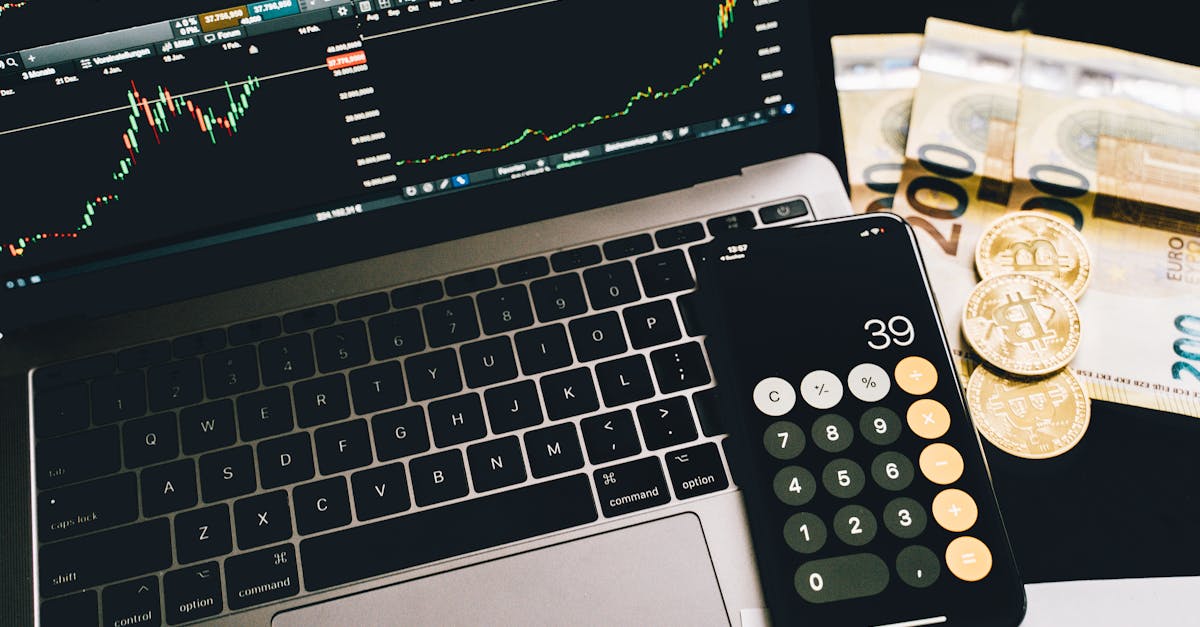 Bitcoin : La Dominance du Roi des Cryptos Sous la Loupe